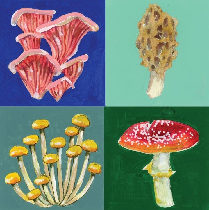 Thinking about new art print possibilities 🍄 ⁠If you could have a print of my work, what would it be of? ⁠
⁠
#mushroomillustration #charlestonillustrator #foodart #mushroomart