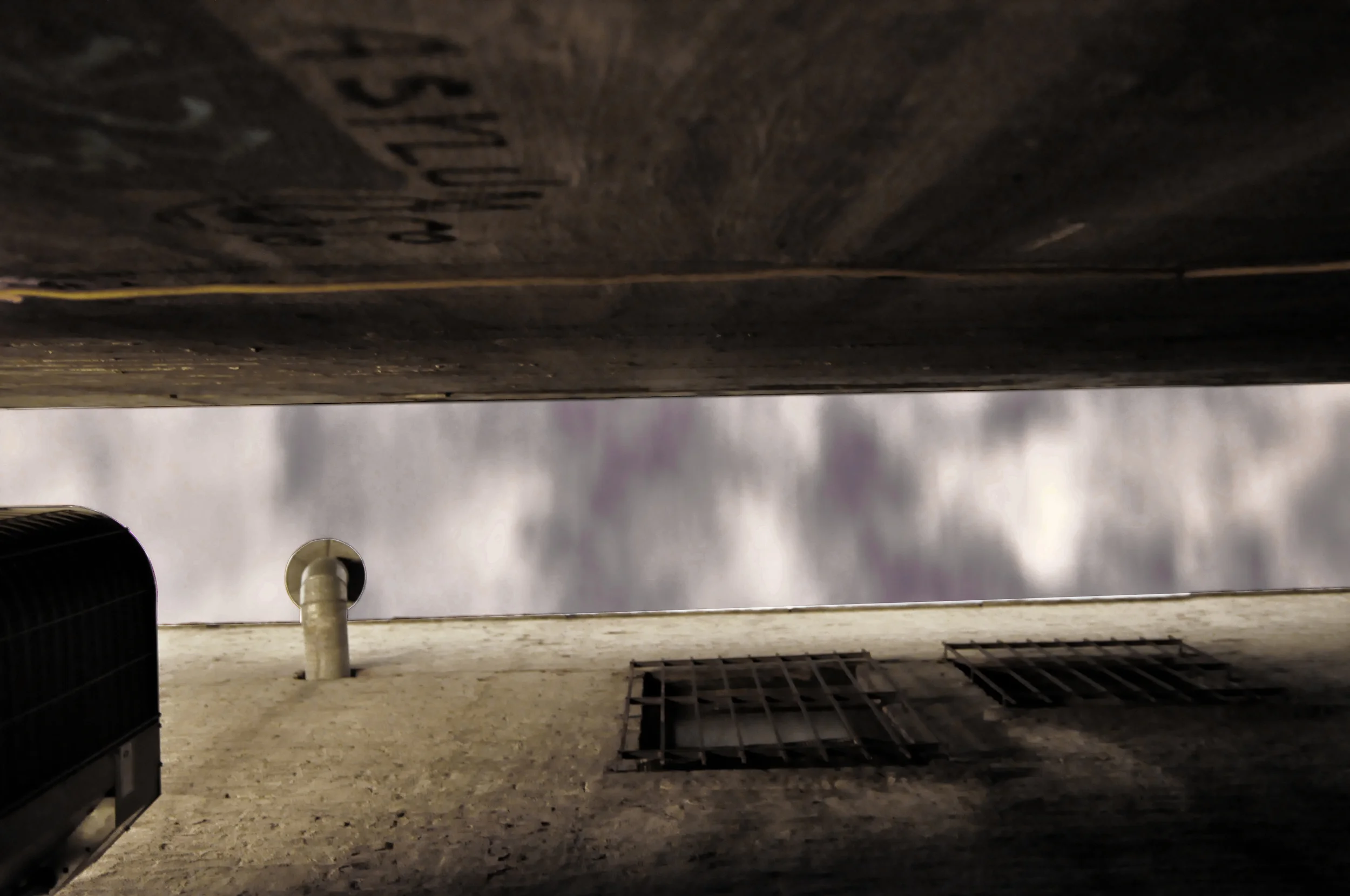 _DSC0306.edit.jpg