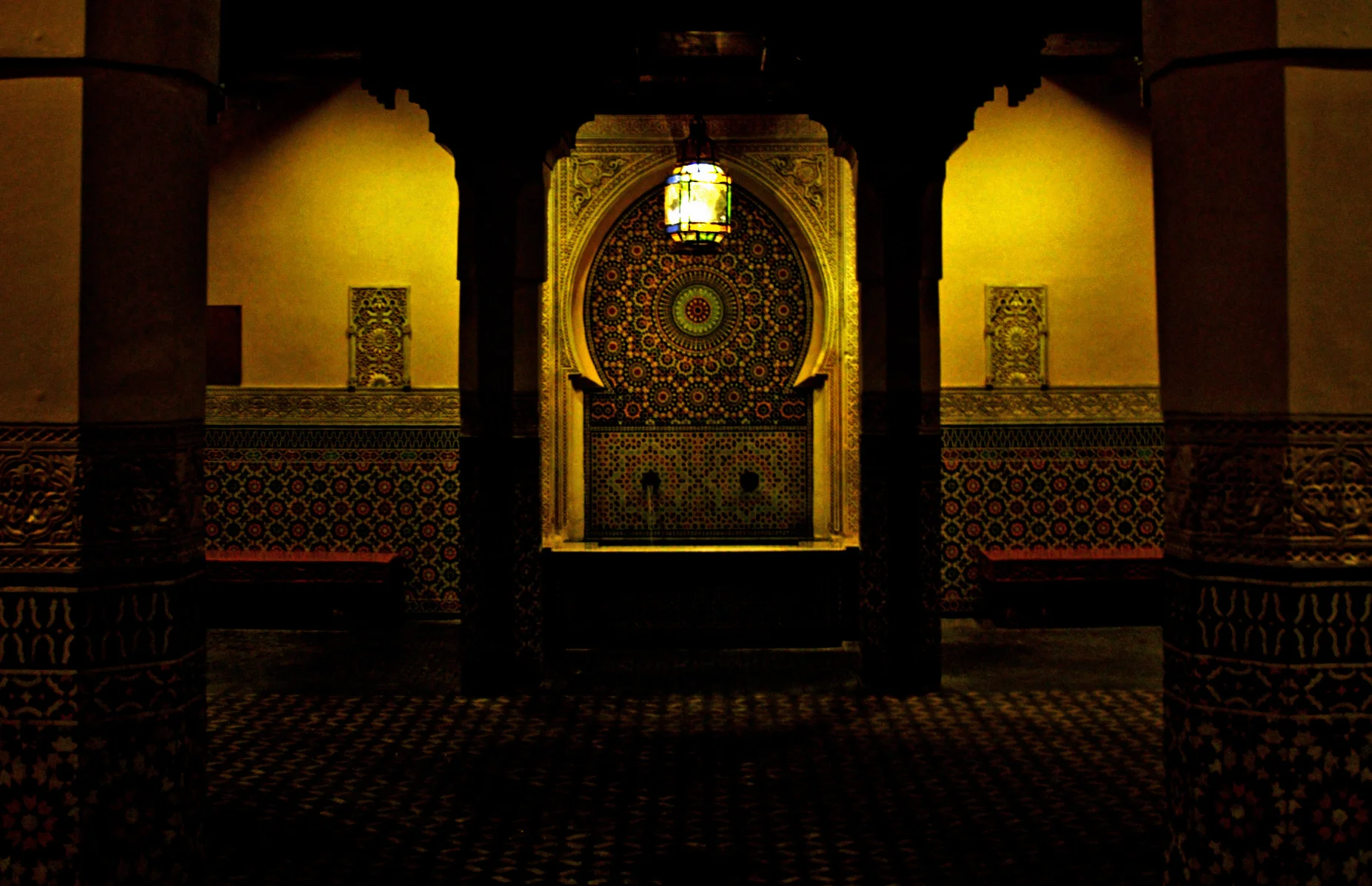 _DSC2377.edit1.crop.jpg
