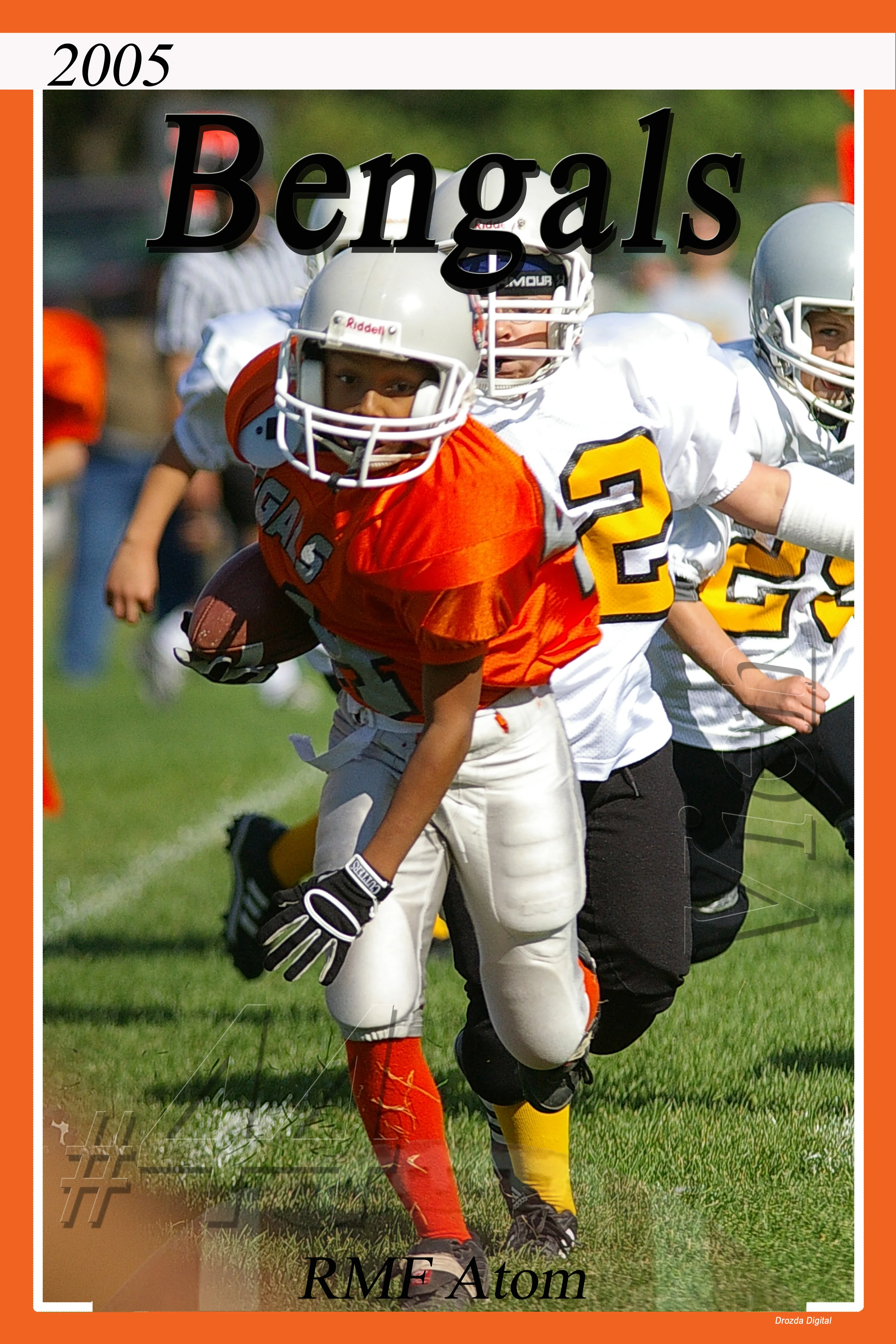 Bengals 44.jpg