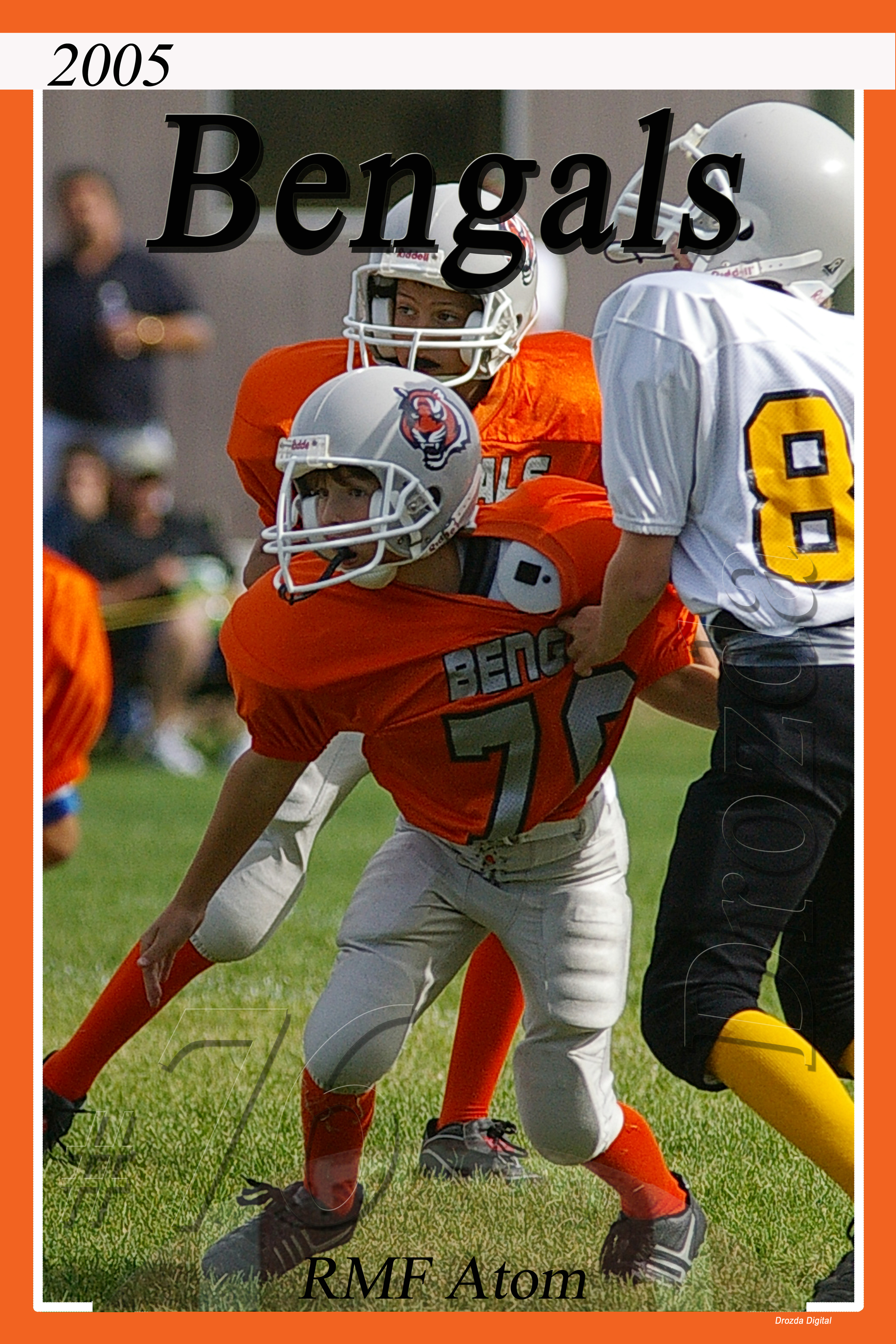 Bengals 76.jpg
