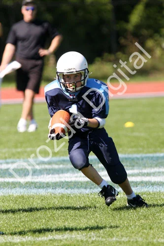 1IMG_9094.jpg