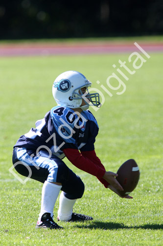 40IMG_0740.jpg
