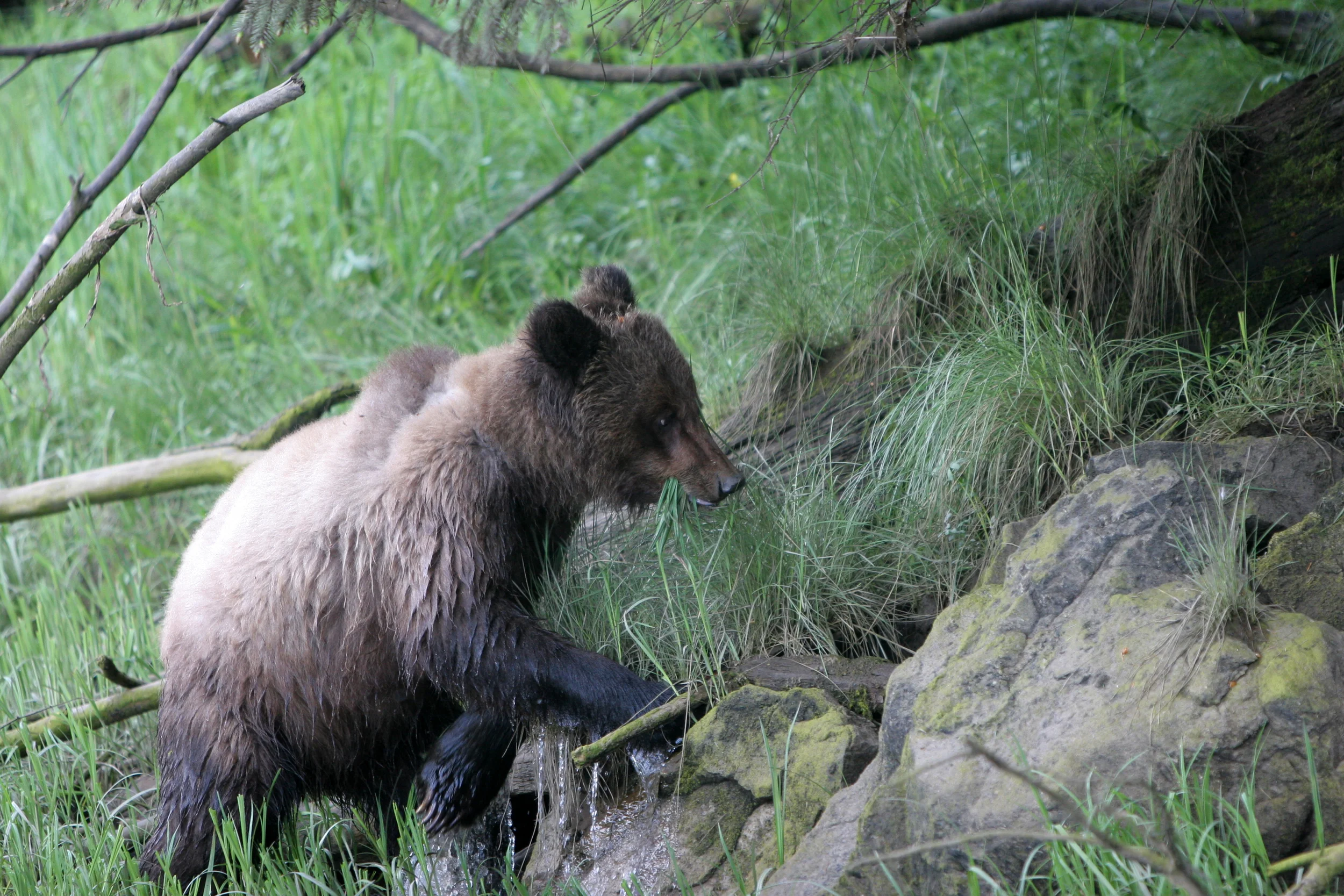 IMG_7954.jpg