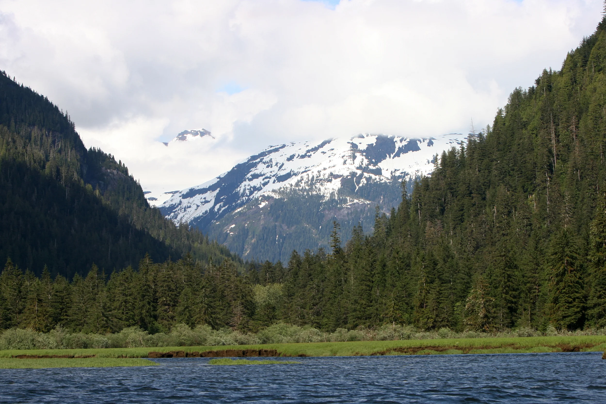 IMG_7962.jpg