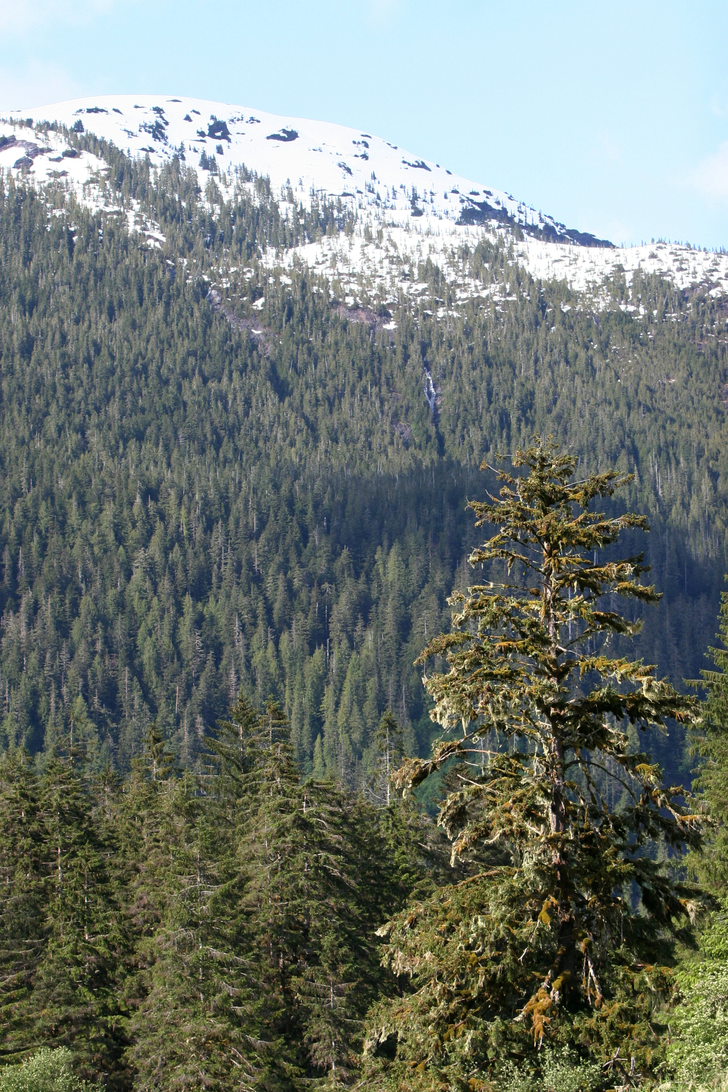 IMG_7963.jpg
