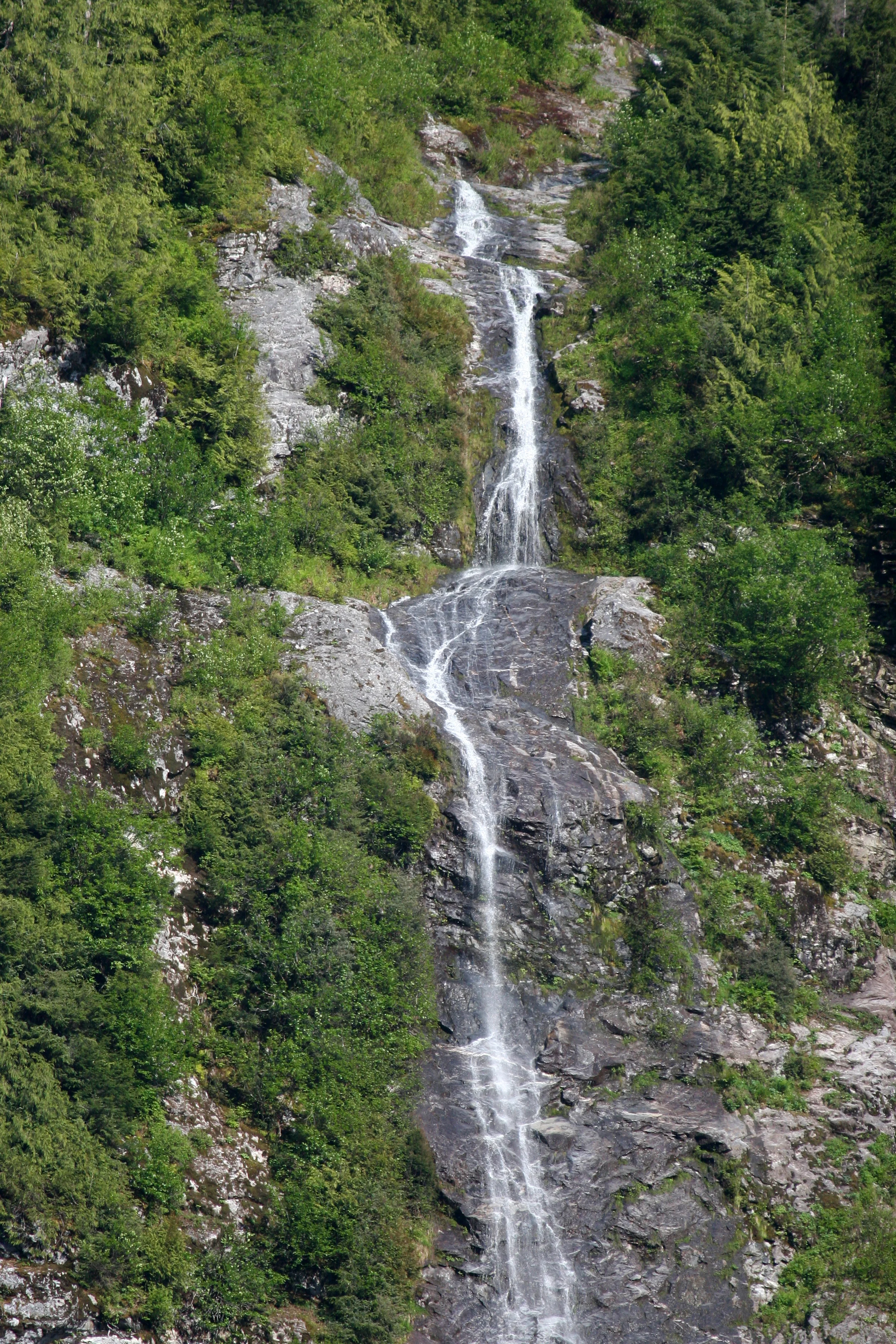 IMG_7972.jpg