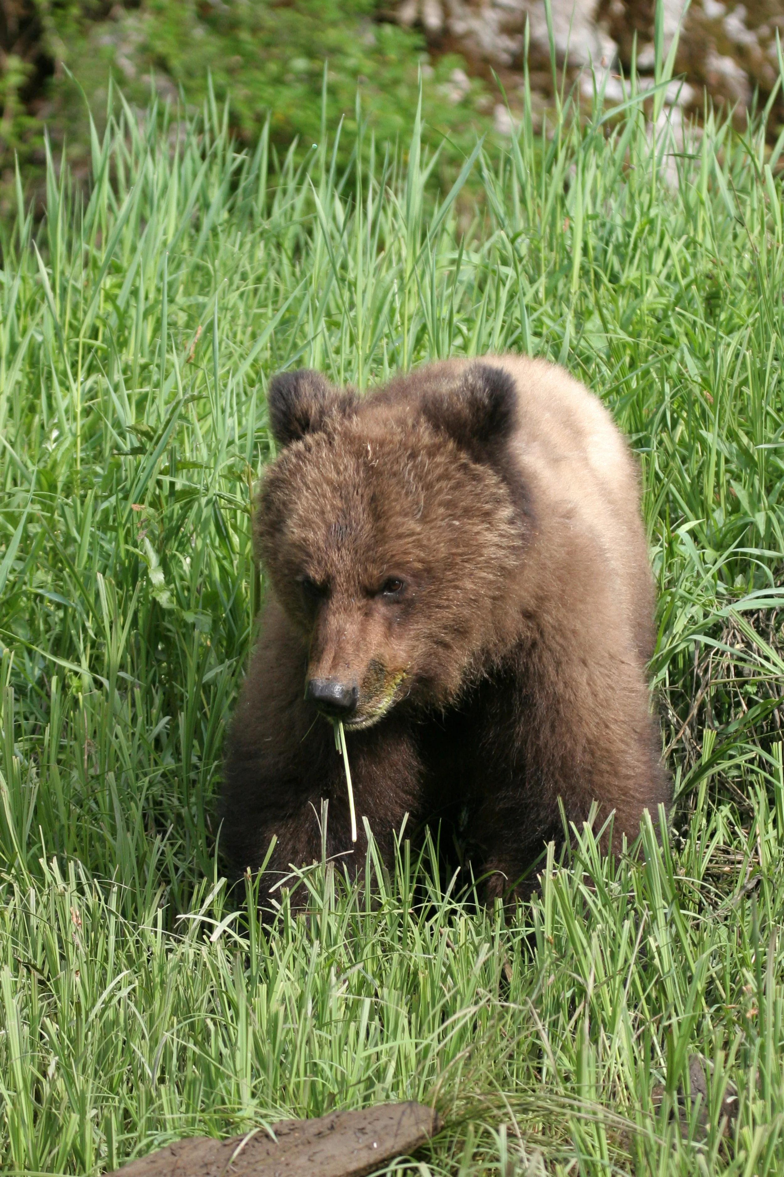 IMG_8436.jpg