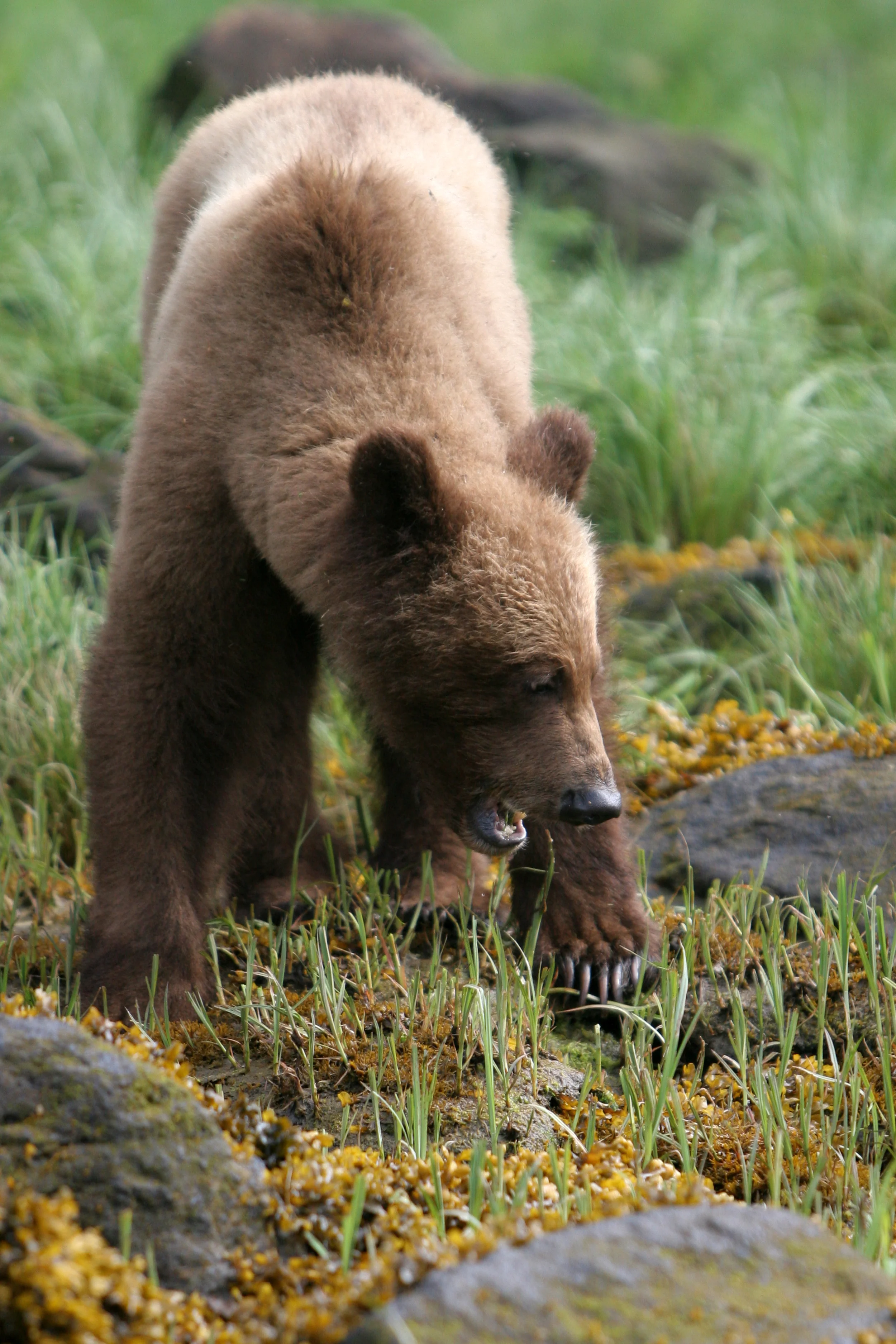 IMG_7636.jpg