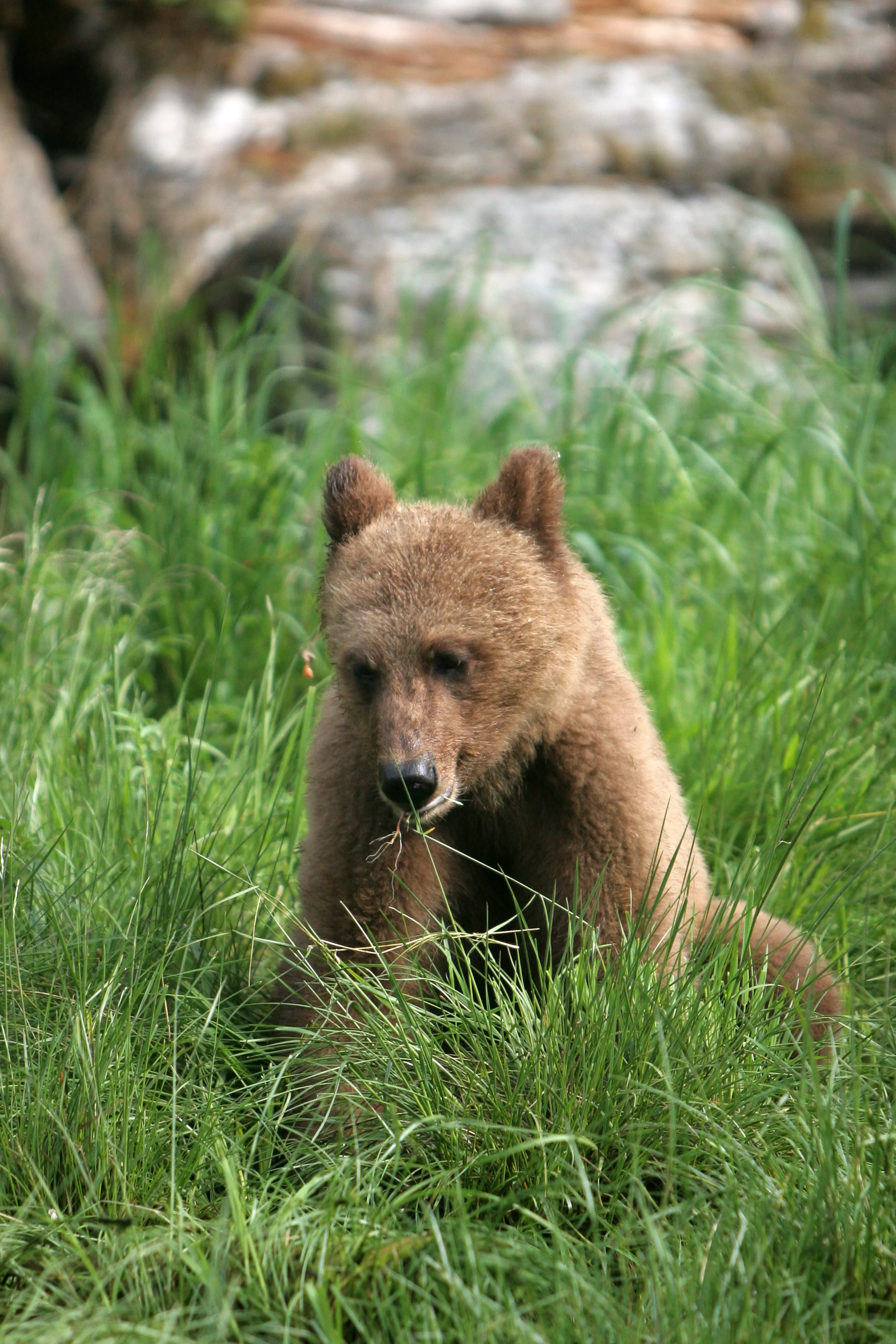 IMG_7657.jpg