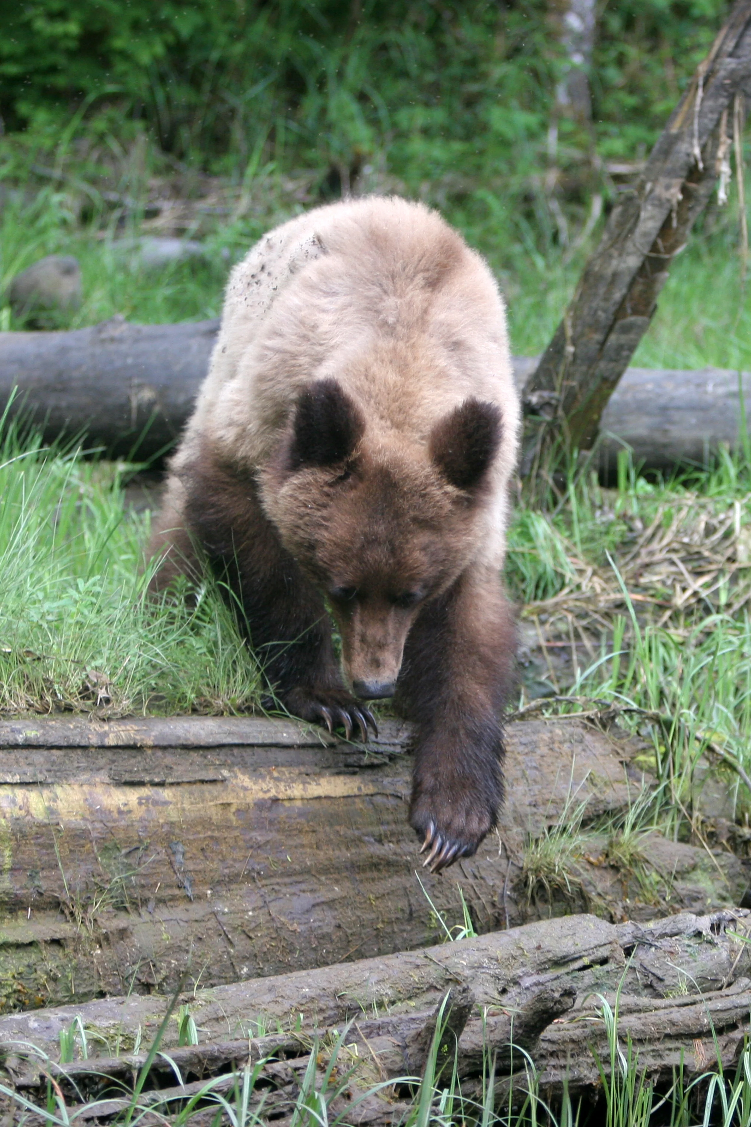 IMG_7527.jpg