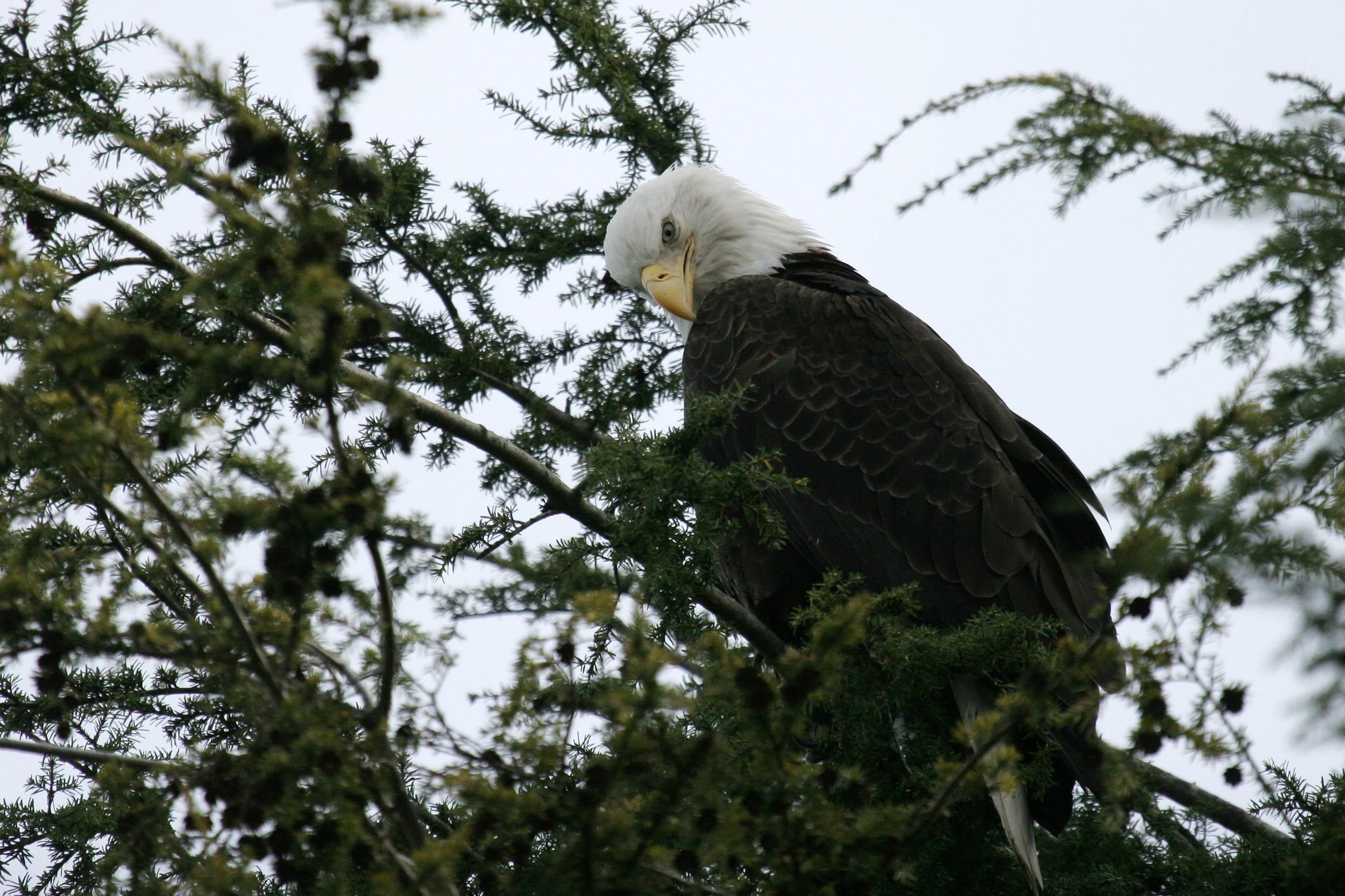 IMG_6776.jpg