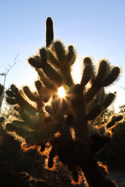 aIMG_0183.jpg
