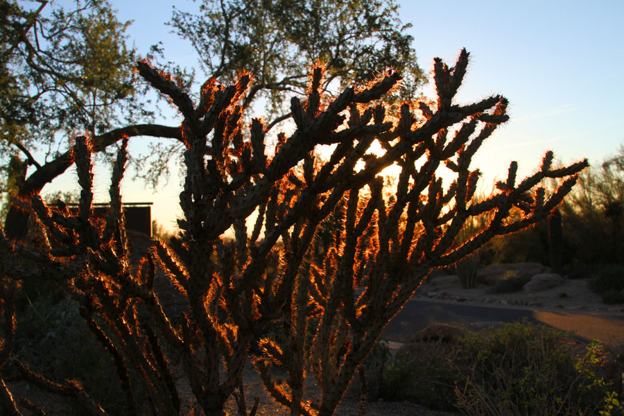 aIMG_0202.jpg