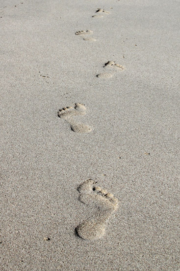 Footsteps Leading into 2014