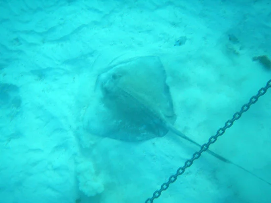 TobagoCays_047.jpg