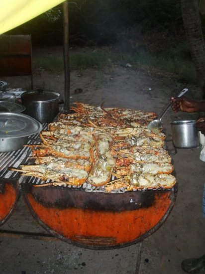 TobagoCays_051.jpg