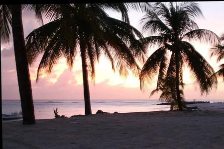 BarbadosBeachBar_004.jpg