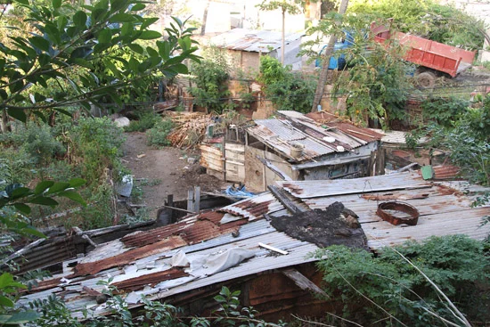 CliftonUnionIsland_013.jpg