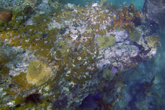 Bequia_073.jpg