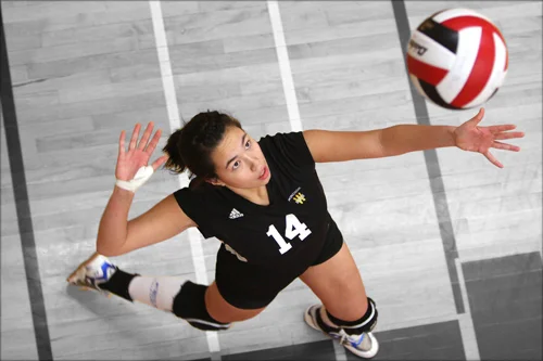 volleyball.jpg