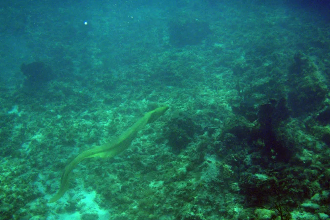 PB150339.jpg