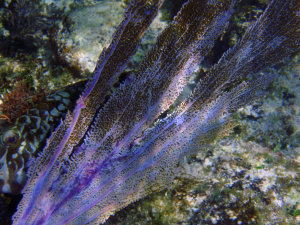 PB120056.jpg