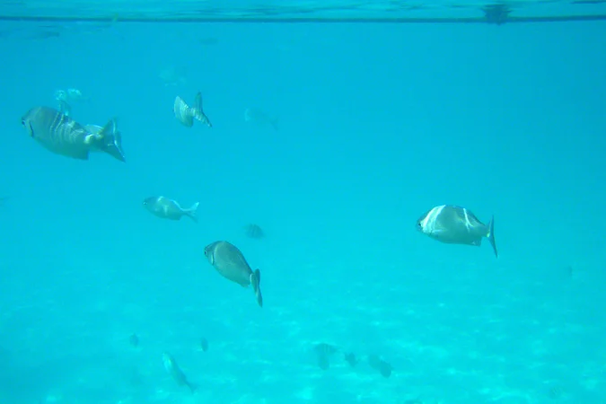 PB120066.jpg