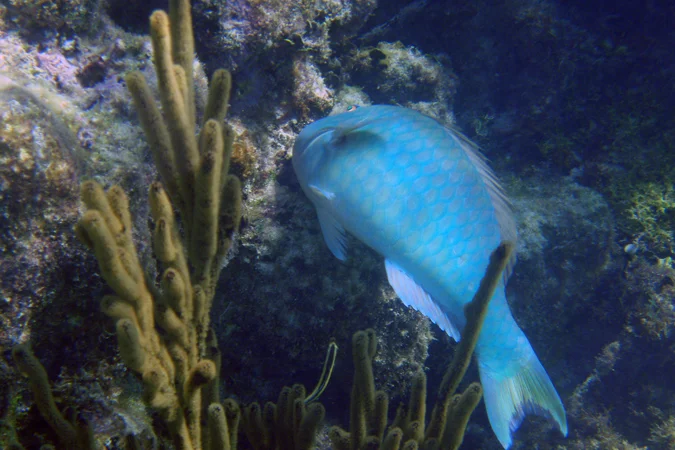 PB130147.jpg
