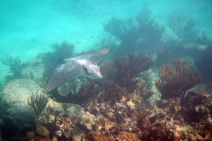 PB140298 copy.jpg