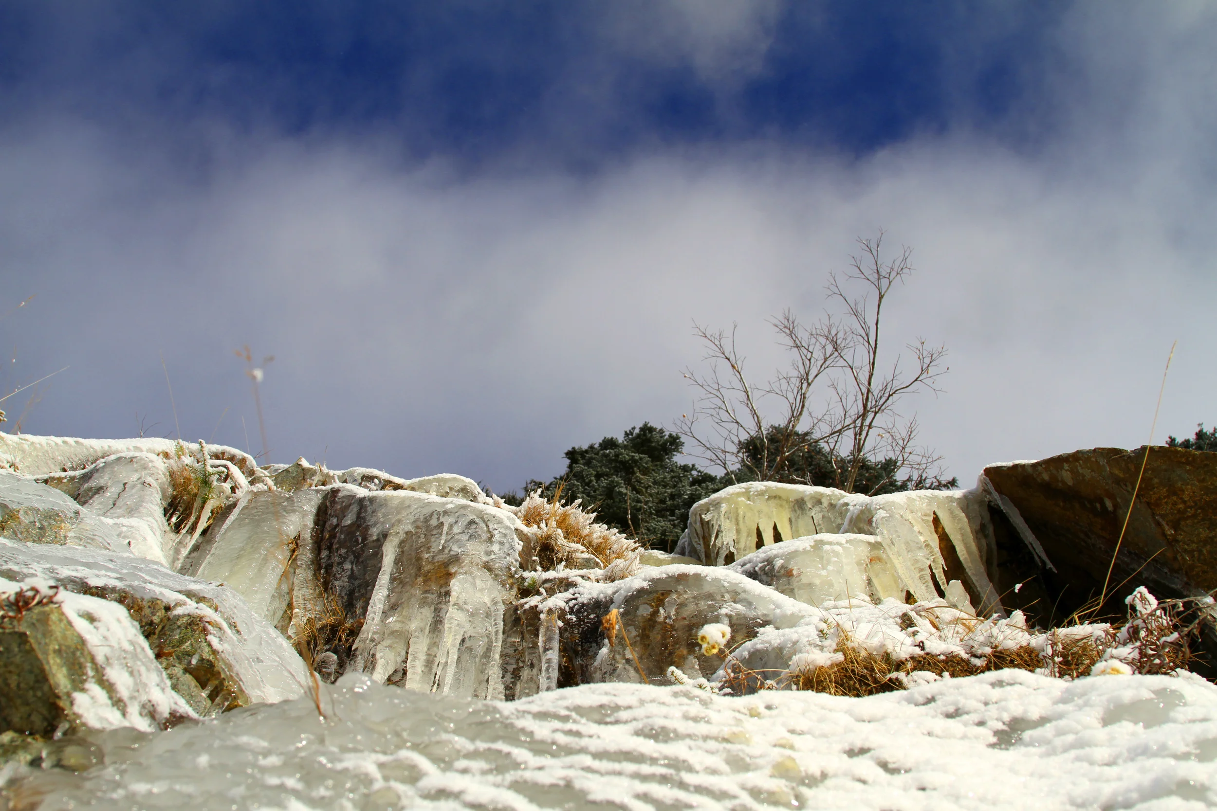 Spring Thaw