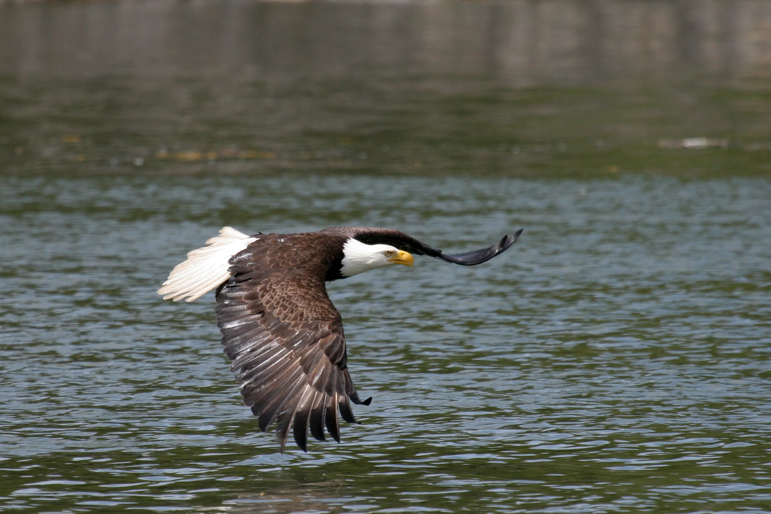 IMG_6868fx.jpg