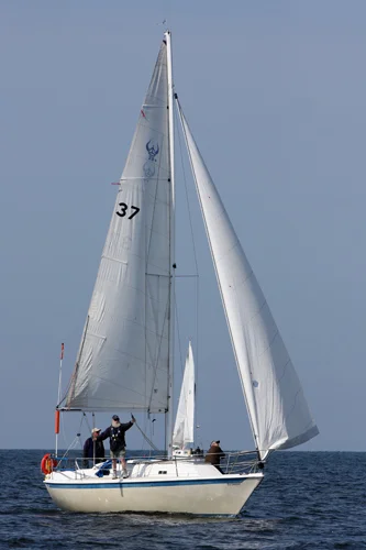 fp25IMG_5565.jpg
