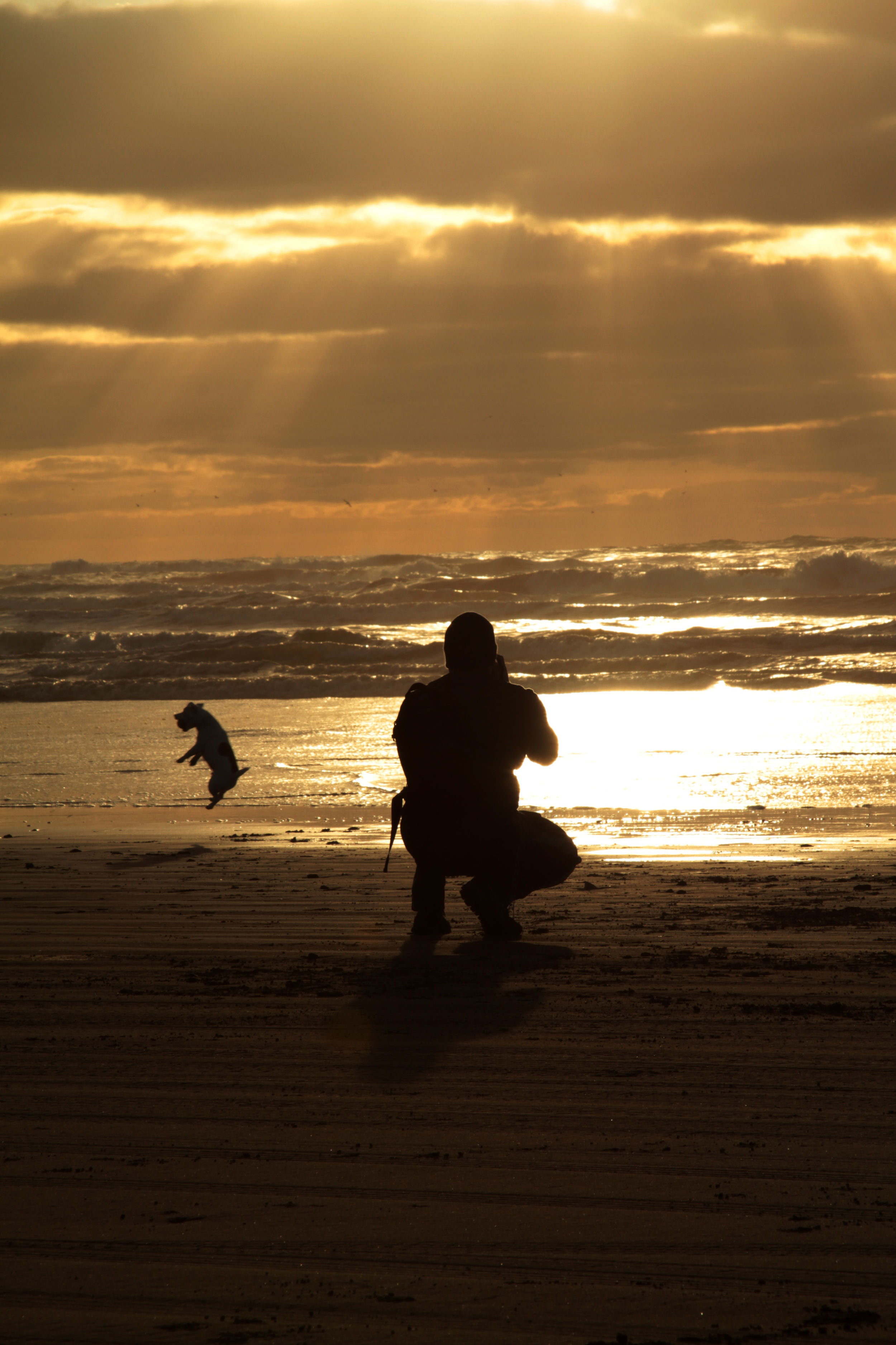 Photographer and his dog