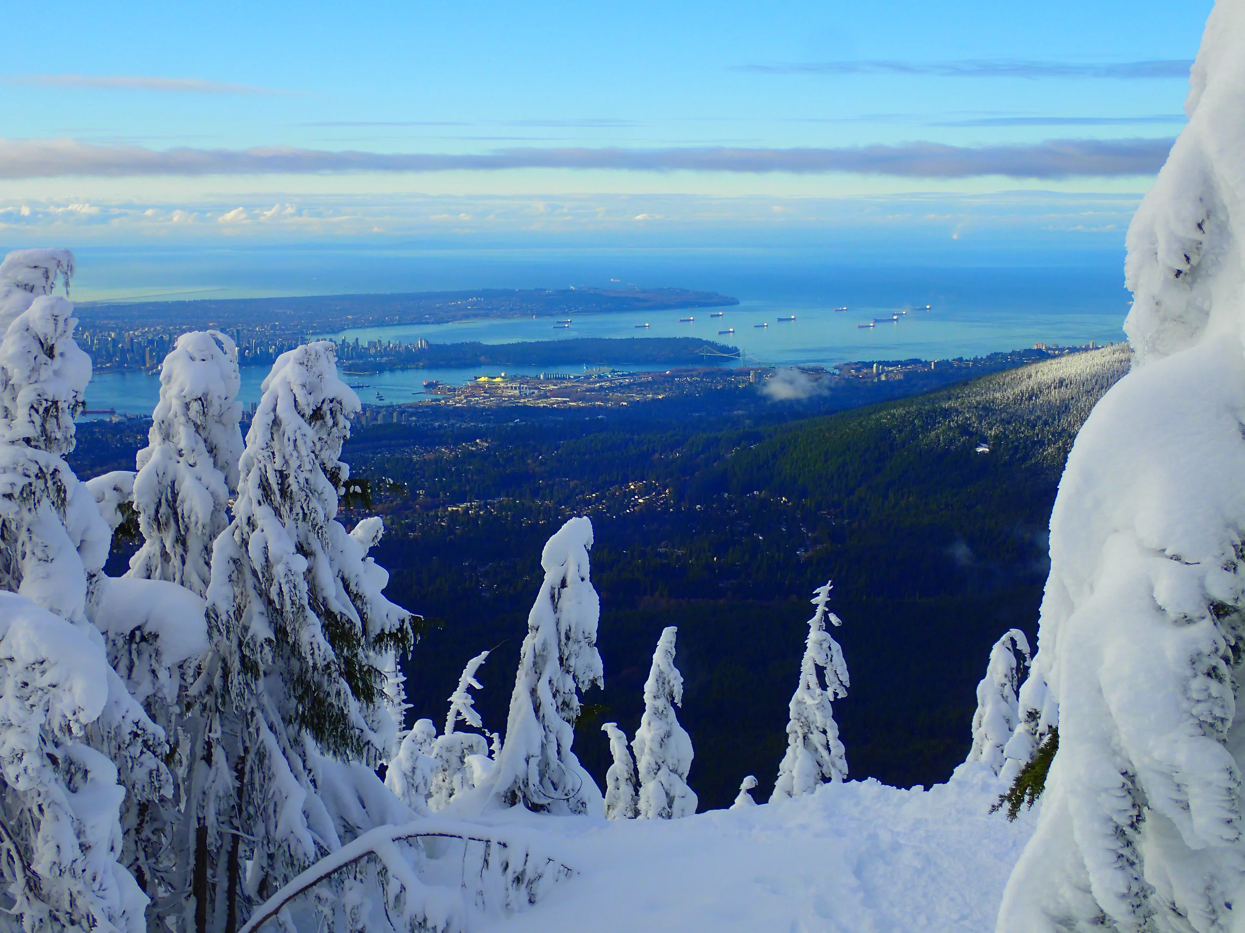 Dog Mountain Lookout