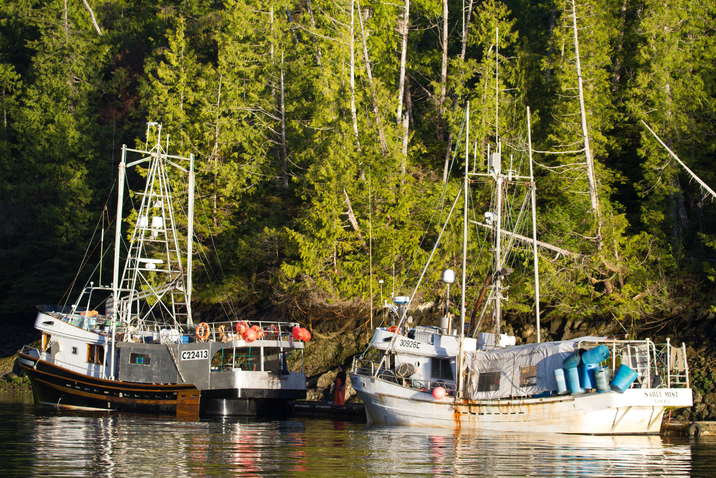 Prawn boats