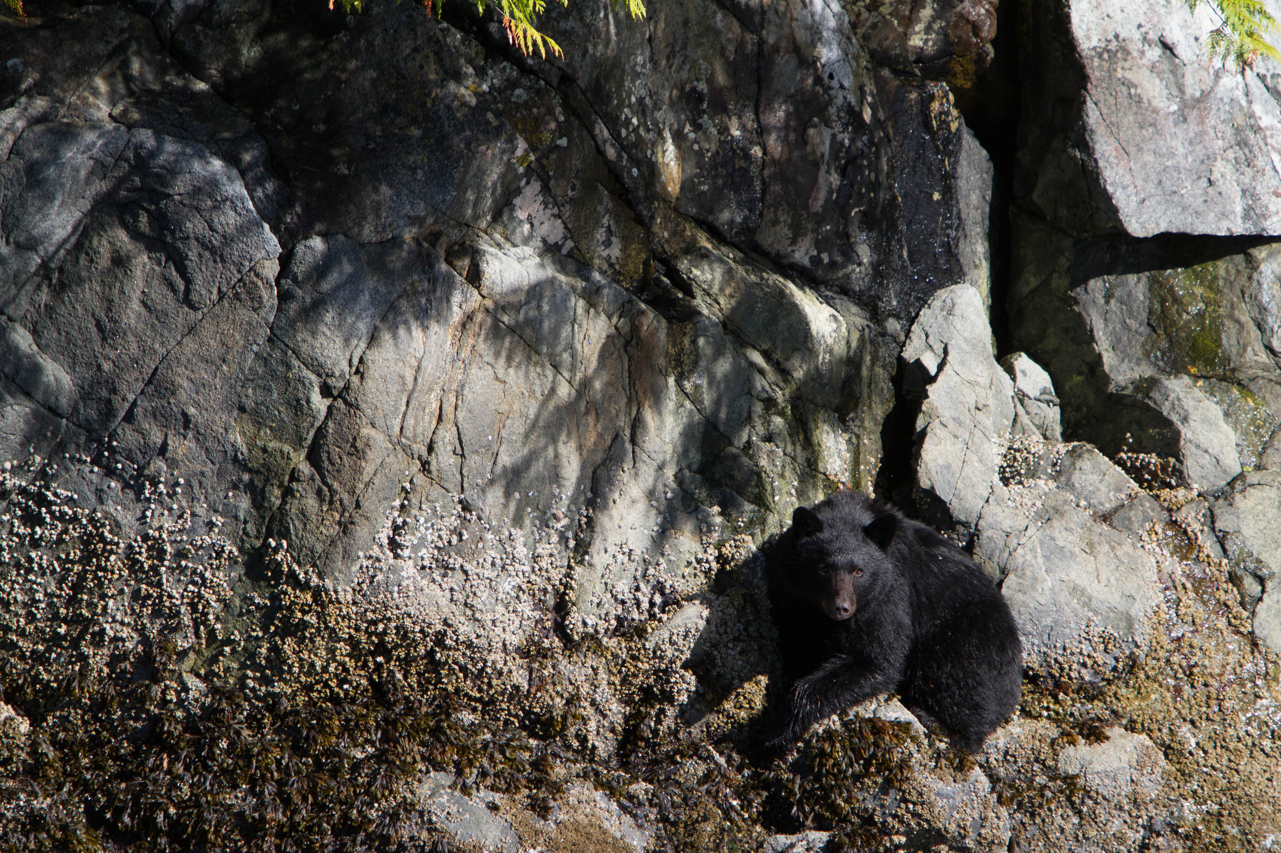 IMG_3179.jpg