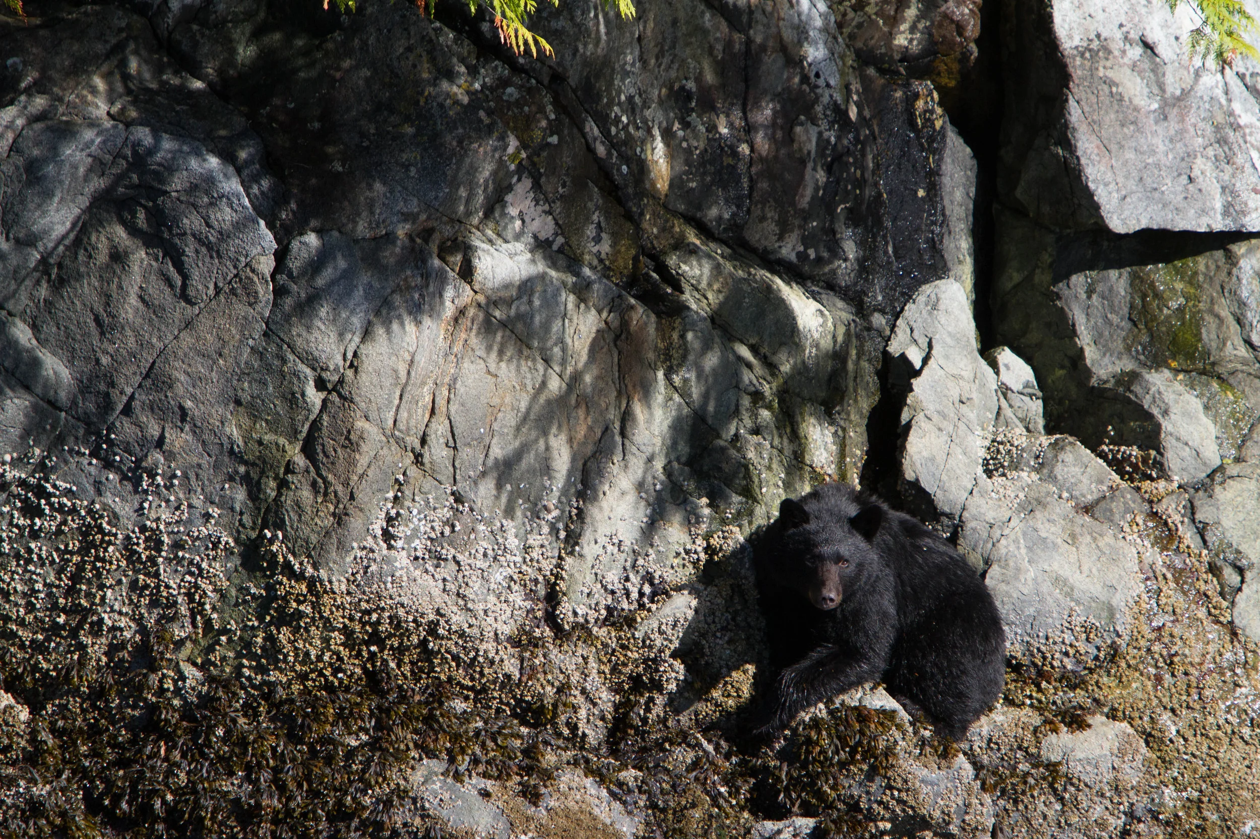 IMG_3179.jpg