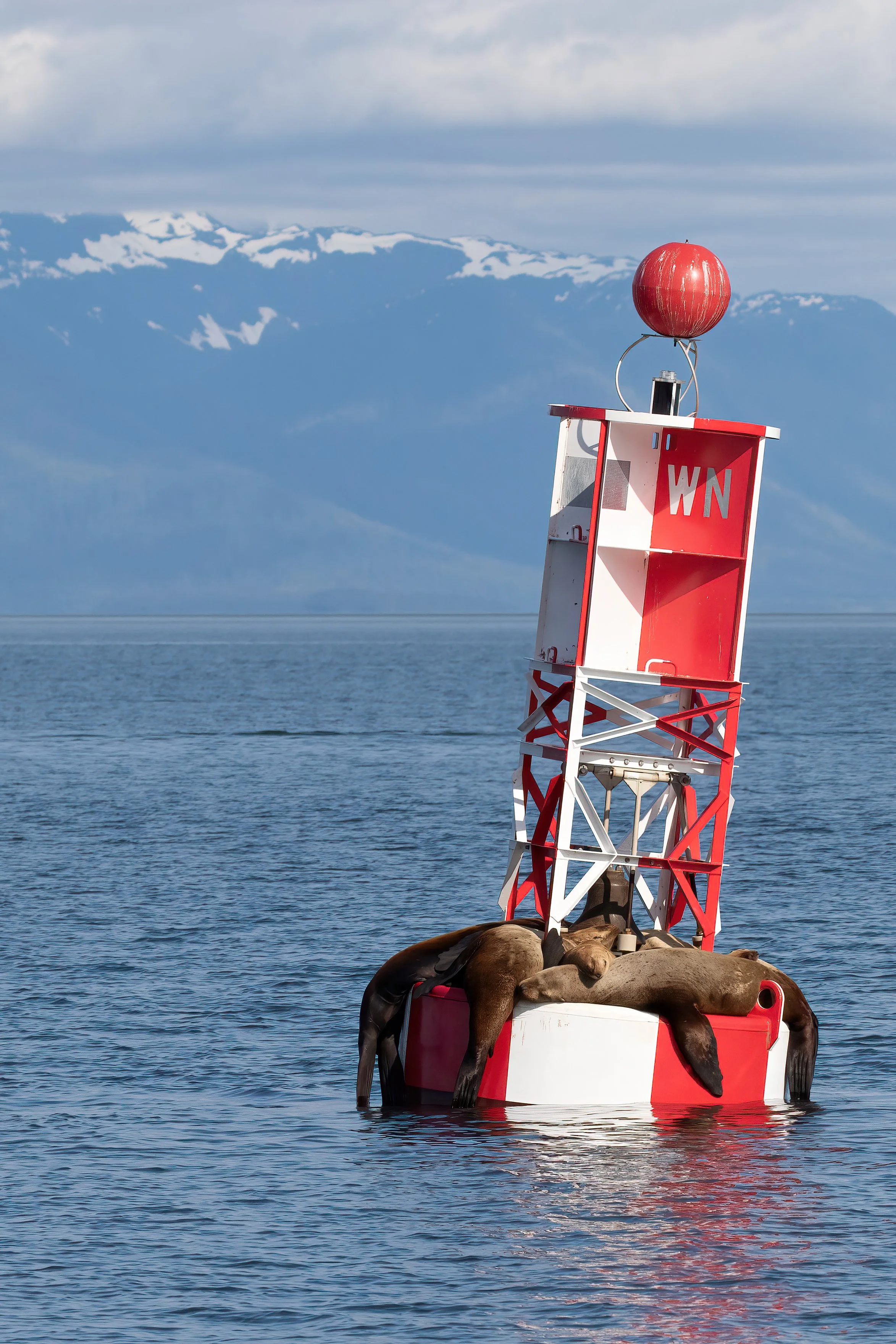 Sealion Channel Marker