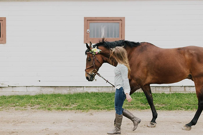 horse-stables-fonthill-046.jpg