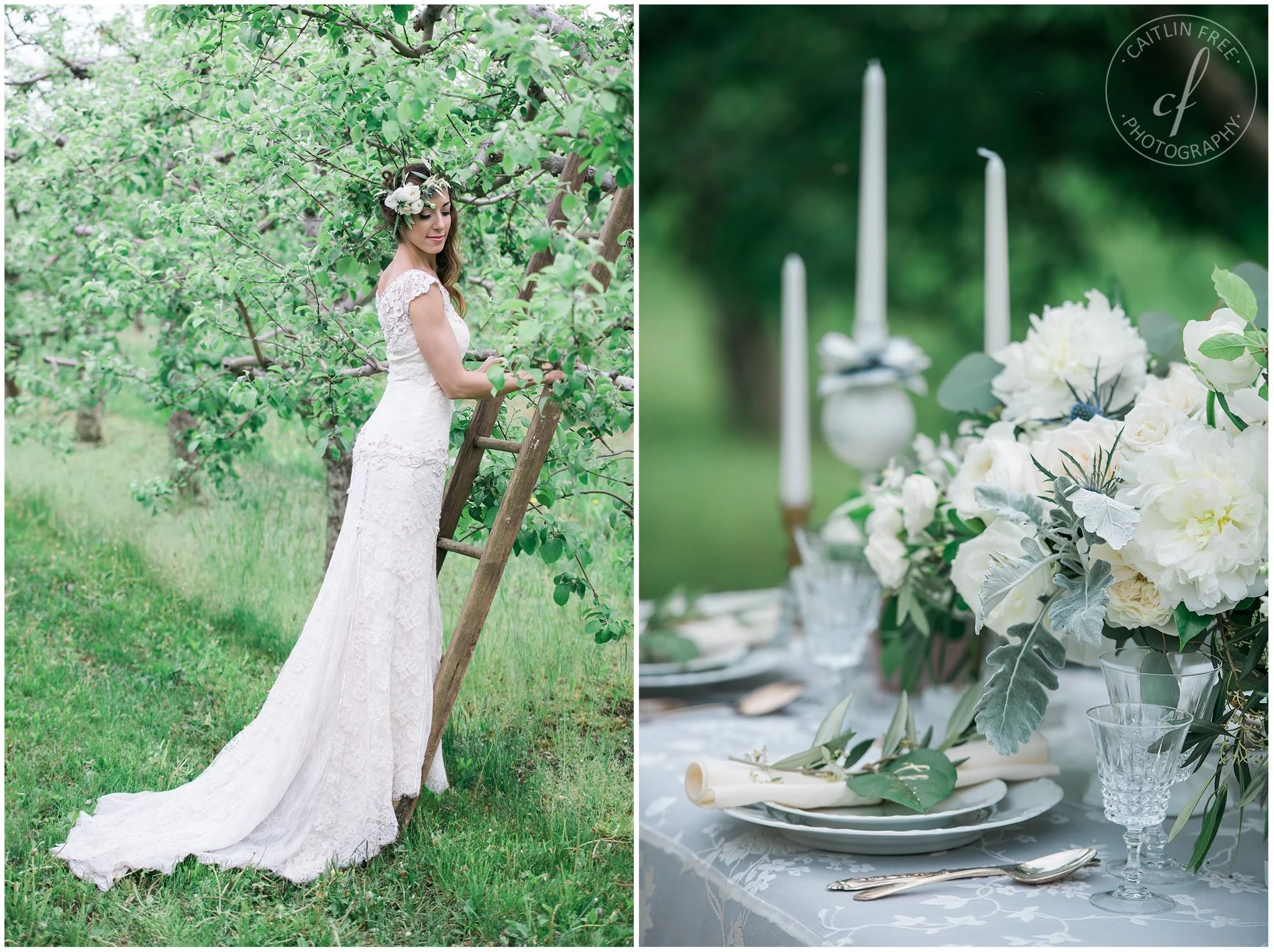 The first official "sneak peek" from the photographer: Caitlin Free Photography