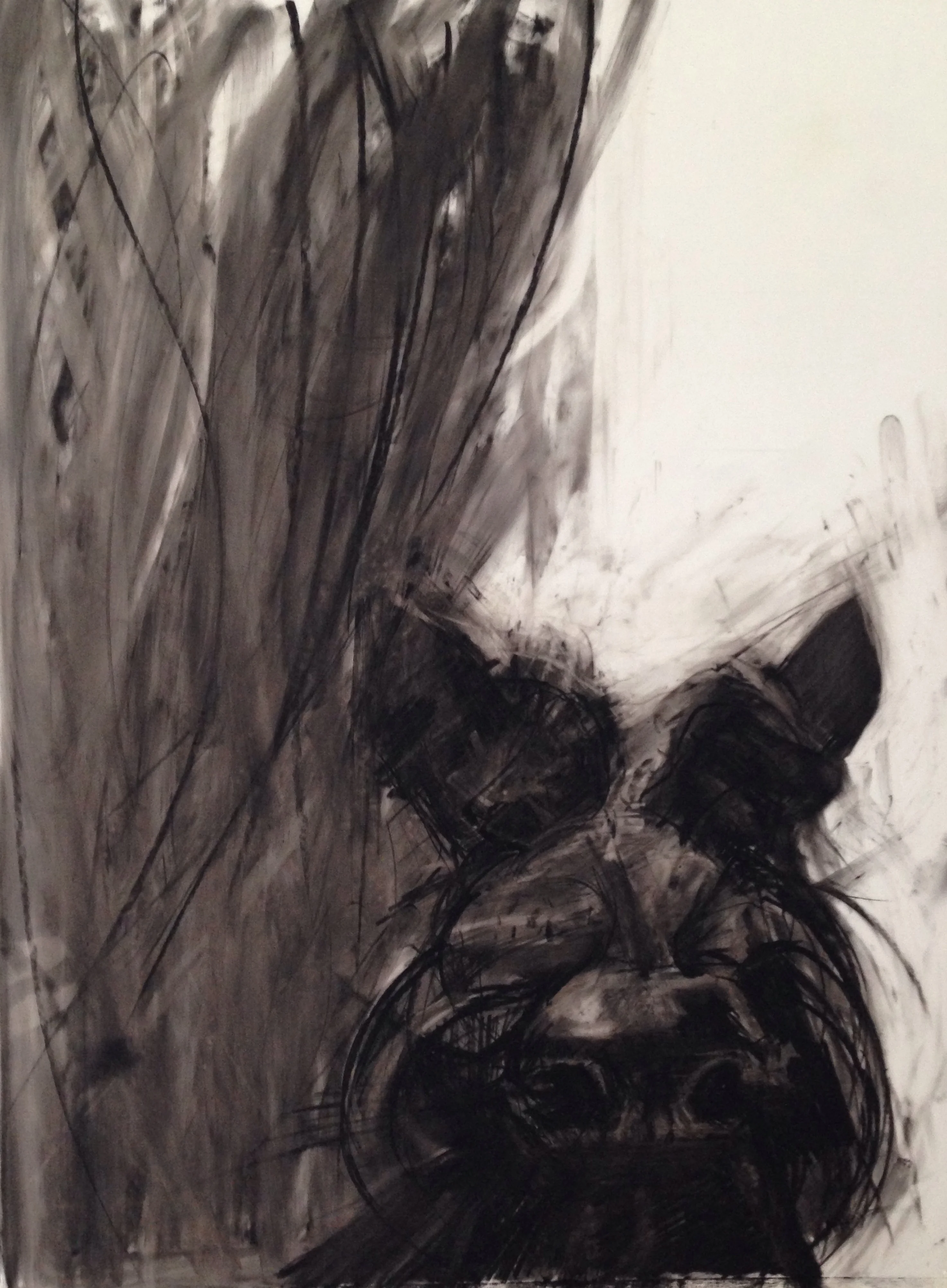 No 2 Scottie Dog, Charcoal and Conte on Mylar, A3