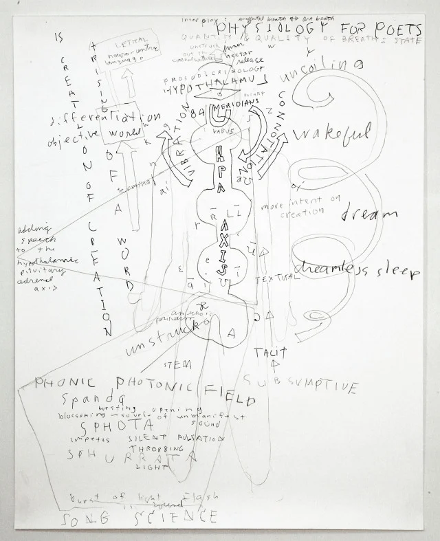 (c)Robert Kocik - Physiology for Poet 