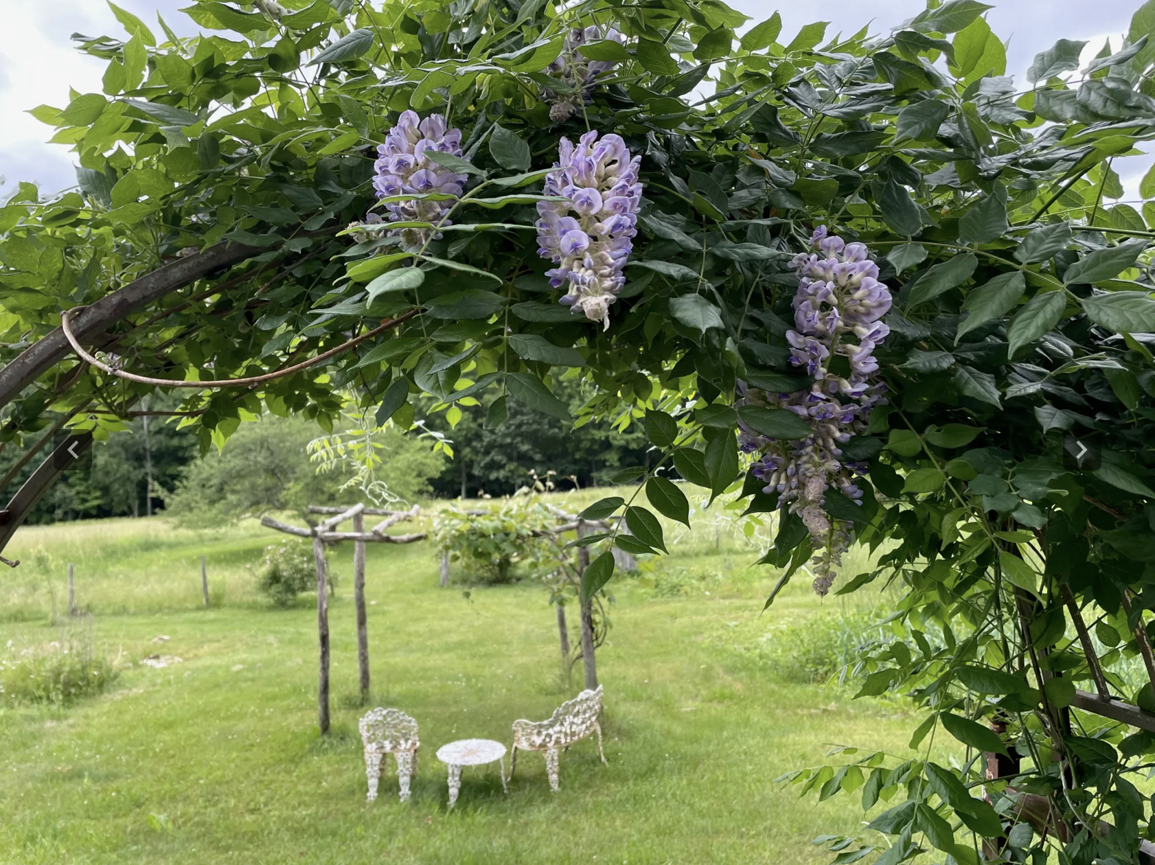 Screenshot 2026-02-23 at 5.29.57 PM.png