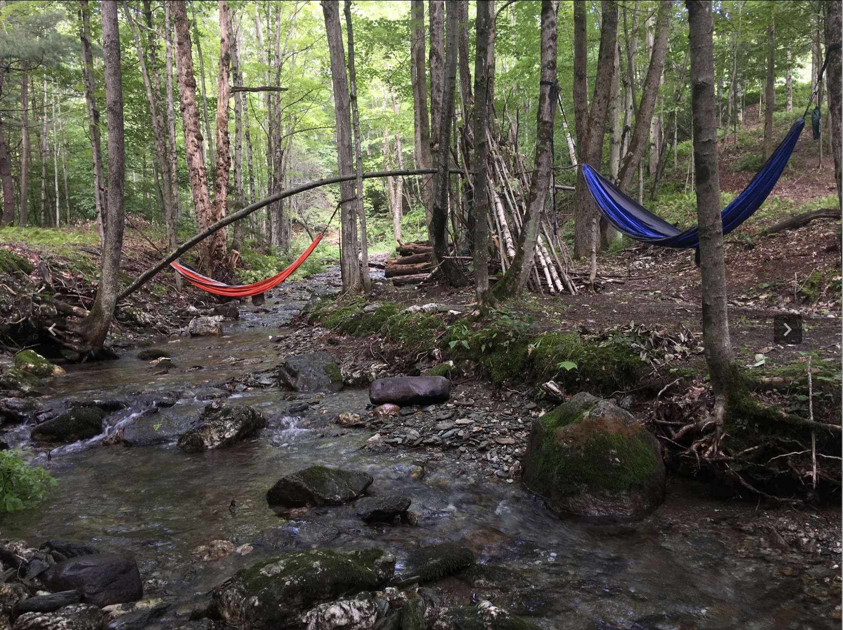 Screenshot 2026-02-23 at 5.29.13 PM.png