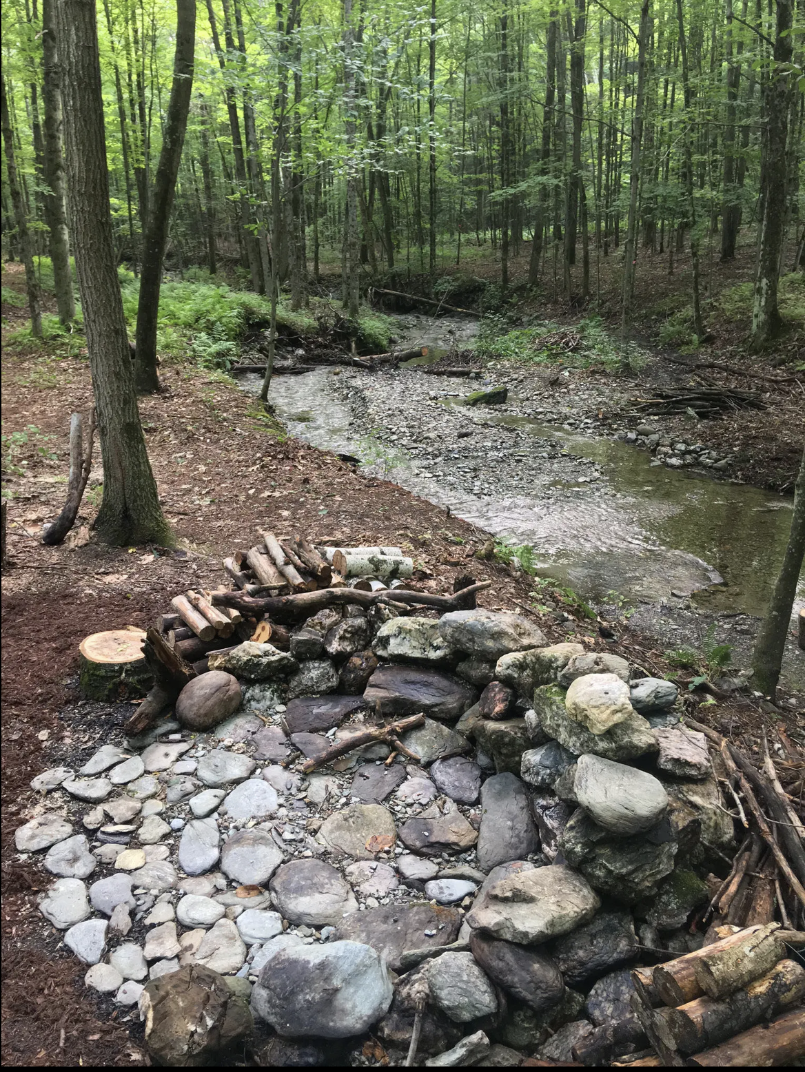 Screenshot 2026-02-23 at 5.28.21 PM.png