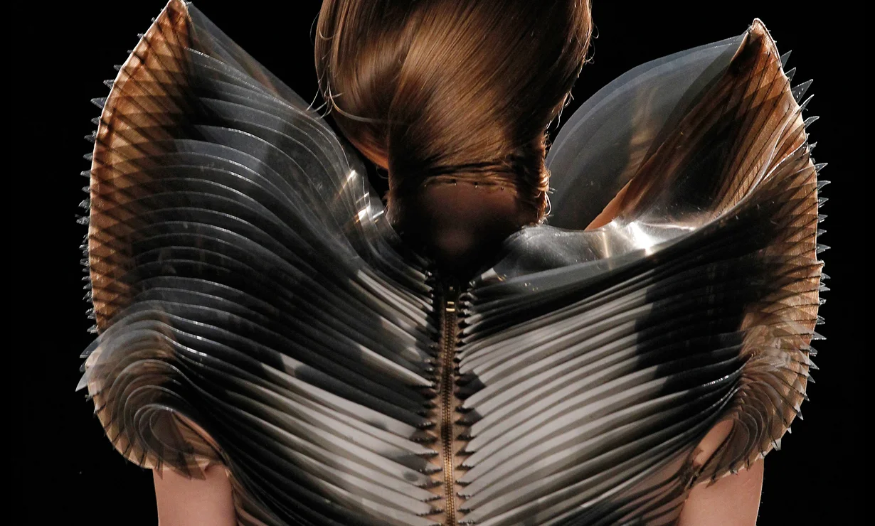 Image from http://www.arch2o.com/women-in-fashion-iris-van-herpen/#prettyPhoto