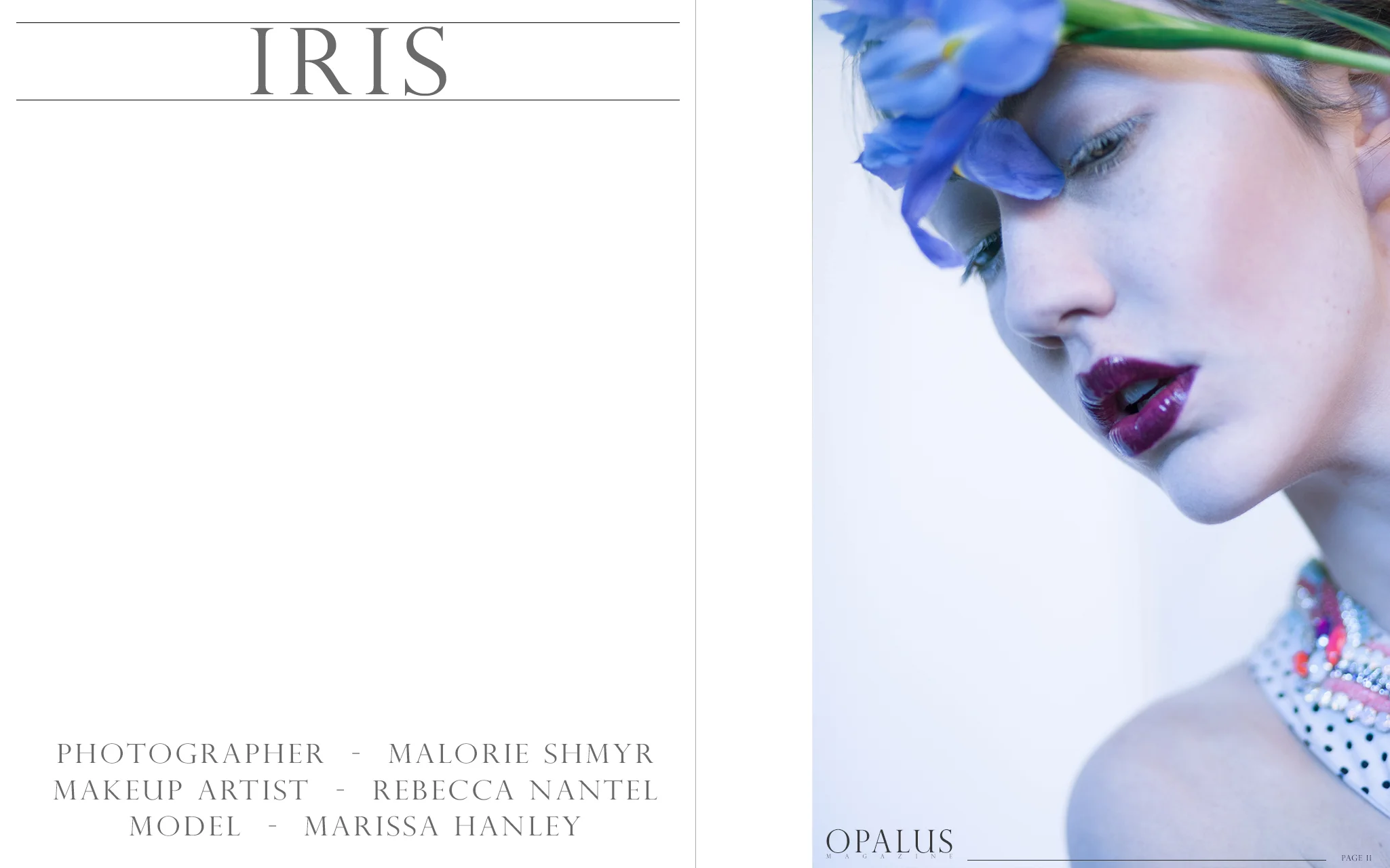 iris_page_1.jpg
