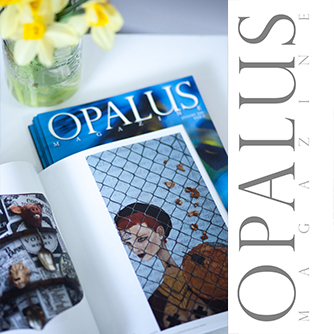 An Image from Krista's series in OPALUS. 