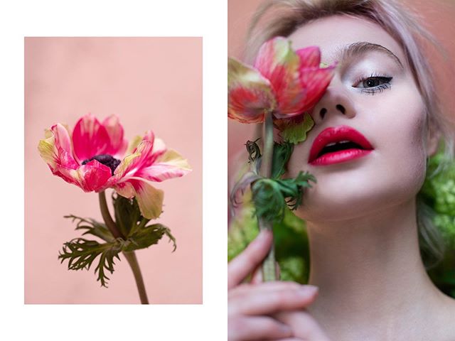FLOWER PIGMENTS - a new beauty story on OPALUS Magazine.com! 🌺 LINK In BIO 🌺 
Featuring the makeup by @joleversuch - inspired by the pigments found in beautiful Parisian market flowers!
Model @lucymay.hunt  of @mlleagency 🌺 🌺 🌺 🌺 🌺 🌺 
#beauty